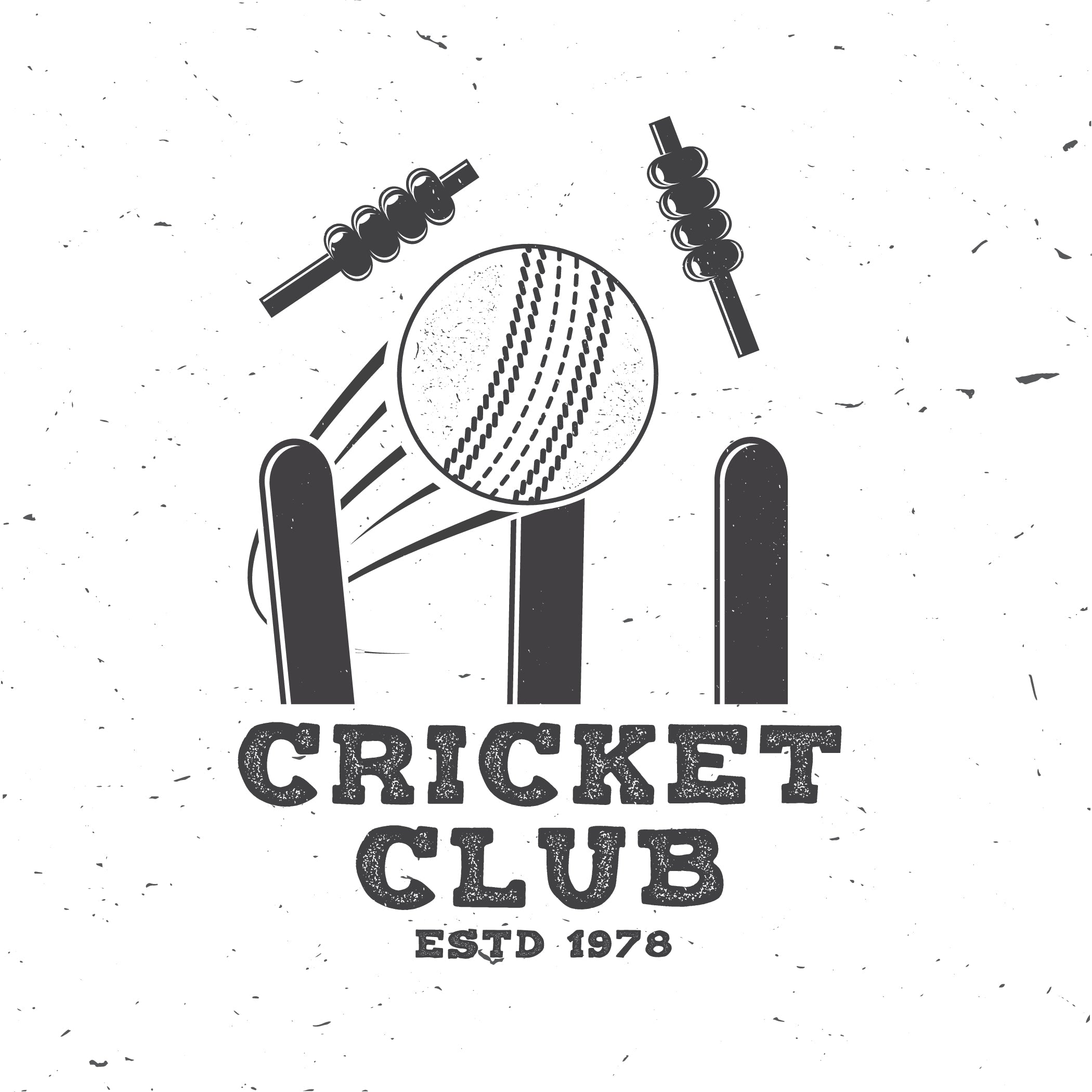 Cricket Fever - Borotech