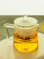 Borosilicate Glass Tea and Coffee Pot with Infuser - Borotech